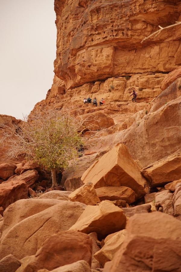 Hotel Quite Bedouin Life Wadi Rum Exterior foto